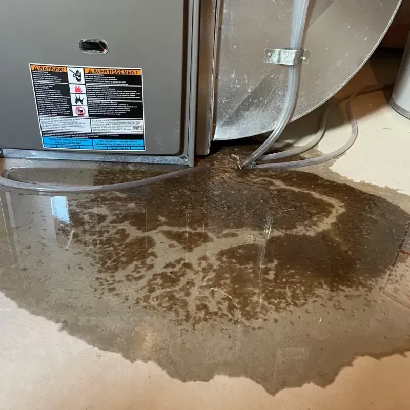 Appliance Leak Cleanup in Priceville, AL